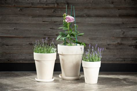 Spang – The Flowerpot Factory – Original manufactured Flowerpots.